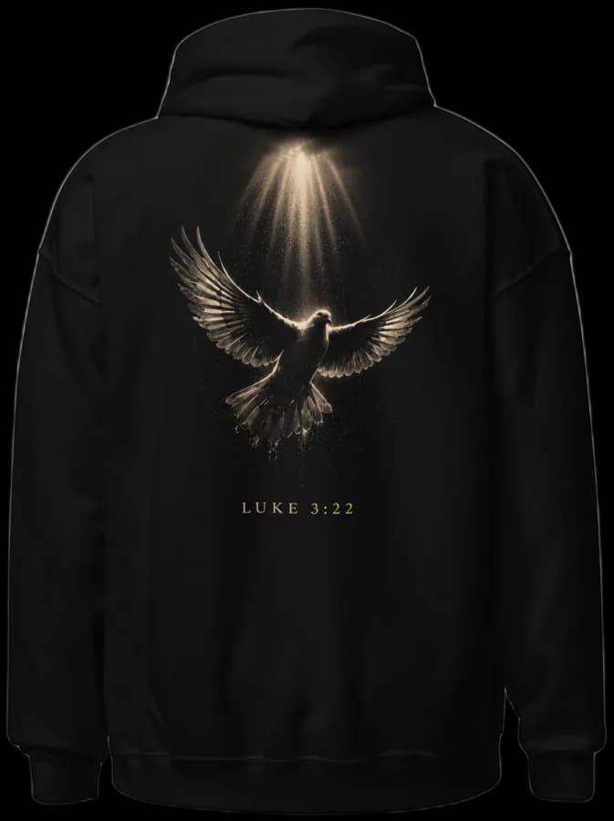 Luke 3:22 hoodie